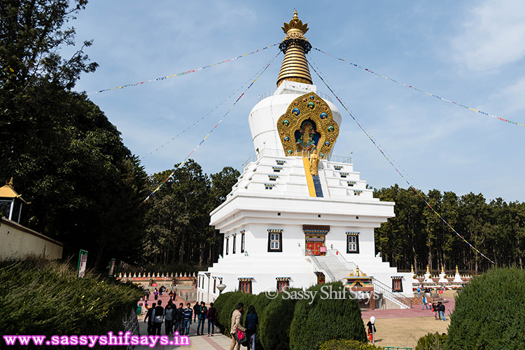 Dehradun Travel Diaries Sightseeing Mind Rolling Buddhist Temple 