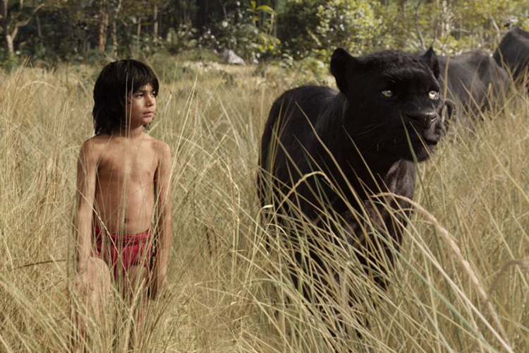 The Jungle Book Film (2)